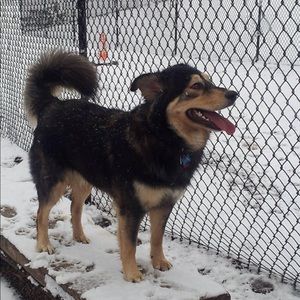 Meet your Posher, Justin